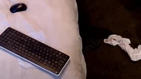 Sparkx online show from December 22, 4:31 am