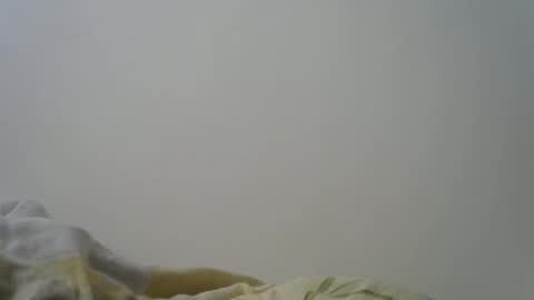 Bob online show from January 19, 8:18 am