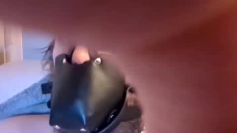 Dirtydog online show from January 15, 6:40 pm