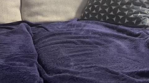 divadsialb online show from April 7, 4:56 am