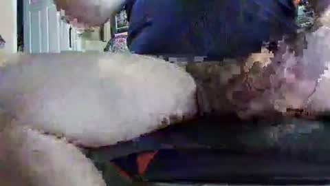 djthick online show from March 17, 2:52 pm