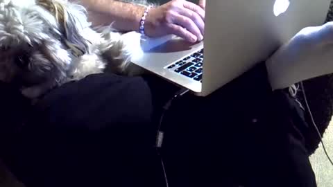 DKdad online show from December 4, 3:41 pm