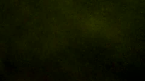 Doby online show from December 20, 12:40 am