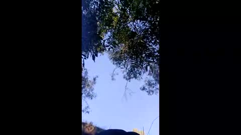 dogging4dollars online show from April 15, 6:24 am