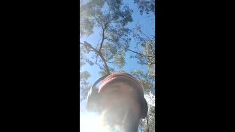 dogging4dollars online show from April 17, 4:48 am