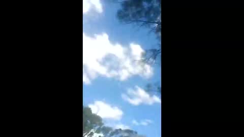 dogging4dollars online show from March 26, 3:10 am