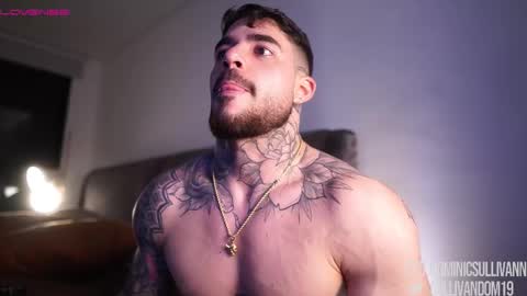 Dominic Sullivan online show from November 23, 1:49 am