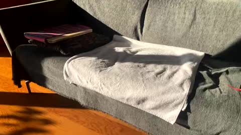 Alfredo online show from December 14, 12:34 pm