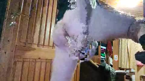 drop667 online show from February 19, 3:03 am