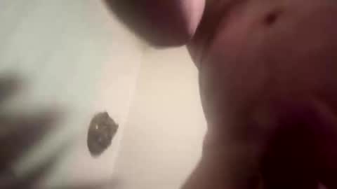 droppingloads82 online show from March 10, 6:30 am