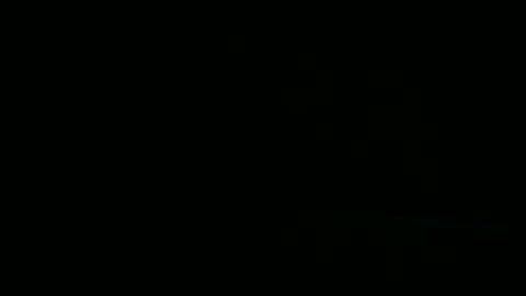 Snapshot of dumout33 chatting on December 25, 1:20 am Sergio online show from December 25, 1:20 am