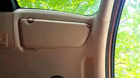 dvvbm2024 online show from March 23, 7:58 am