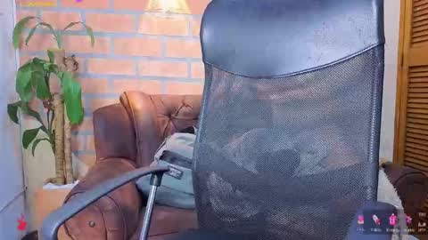 D Y L A N online show from March 6, 2:41 am