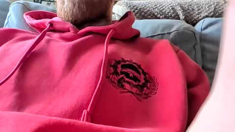 easylog online show from November 9, 6:23 pm