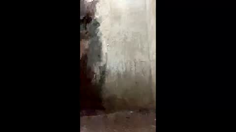 eduxxx7 online show from April 30, 2:18 am