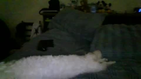 Nicky789 online show from April 9, 8:15 pm