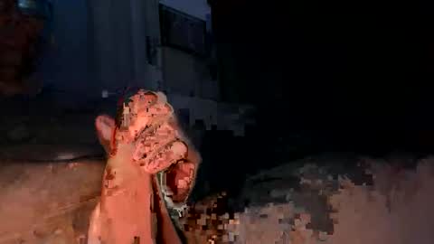 gusthebus online show from April 6, 5:30 am