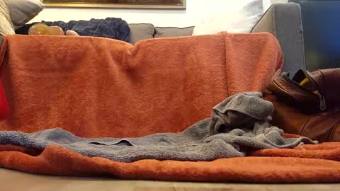 Hmmmhmmmm online show from January 8, 12:38 am