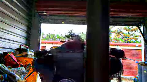 eskewrichard0437131 online show from November 20, 6:29 pm