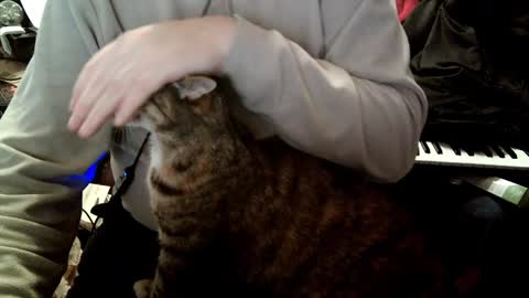 Fabius online show from January 23, 12:52 pm