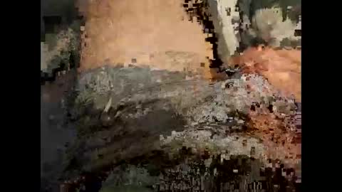 fapforfuckingfun online show from December 7, 9:00 pm