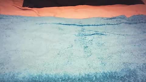 Snapshot of ffllvv chatting on February 18, 12:17 pm bbbbCock online show from February 18, 12:17 pm