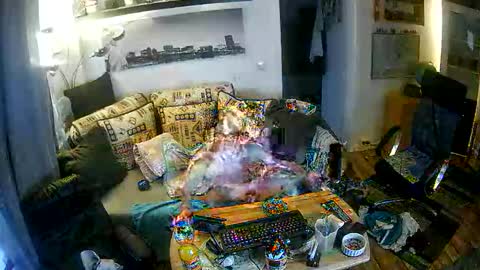 Don Fips online show from November 21, 6:56 am