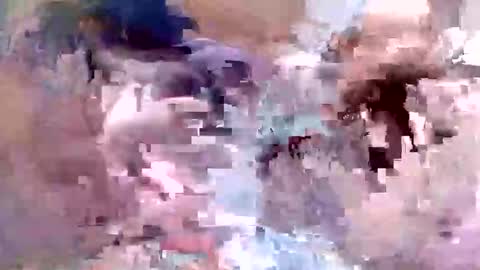 fishon13 online show from April 19, 1:38 am