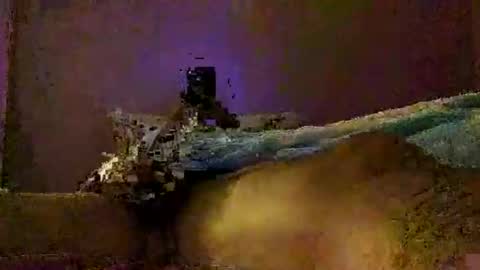 freelingling online show from November 30, 8:27 am