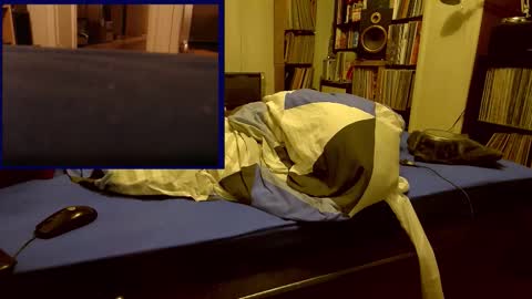 Duckmysick online show from January 8, 8:47 pm