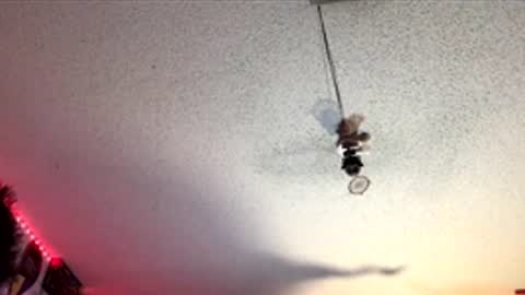 Fabian online show from April 1, 7:54 am