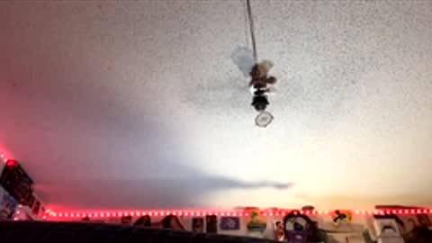 Fabian online show from April 7, 2:22 am