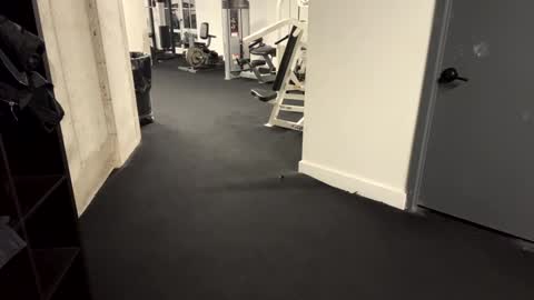 Muscle Bear Jock in Training online show from December 16, 8:20 am