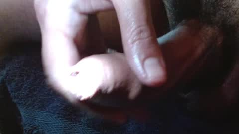 Kinky Room online show from November 26, 5:43 am