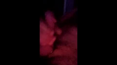 fukitol73 online show from April 13, 9:21 am