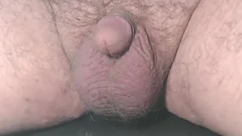 Pussy Boy online show from February 13, 8:47 pm