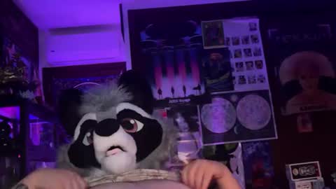 Zaboo Raccoon online show from June 20, 6:29 am