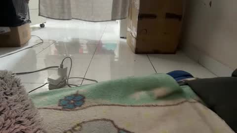 gab021593 online show from January 15, 4:20 pm