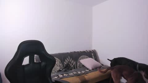 game__over420 online show from December 14, 3:58 pm