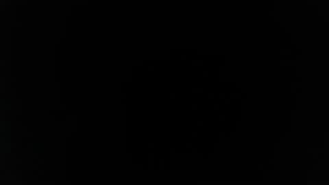 not me online show from April 26, 3:26 am