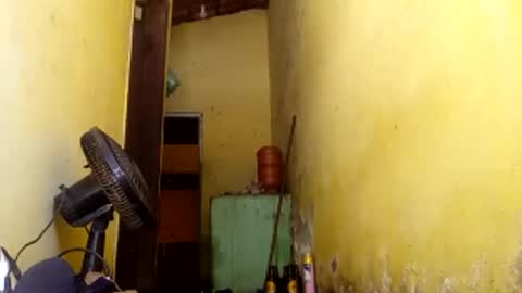 Gaby online show from April 9, 4:46 pm