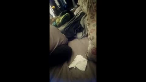 gog01978 online show from April 13, 7:20 am