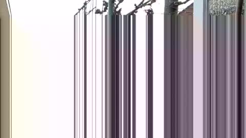 Snapshot of goldenelixxxir chatting on December 23, 12:41 pm   online show from December 23, 12:41 pm