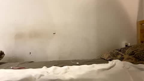 Goldmedal online show from January 13, 7:29 pm