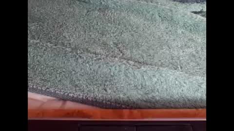 Snapshot of goodboyzon chatting on December 8, 3:45 pm goodboy online show from December 8, 3:45 pm