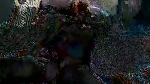 Snapshot of greeneyedcutie chatting on January 17, 9:17 am Jack online show from January 17, 9:17 am