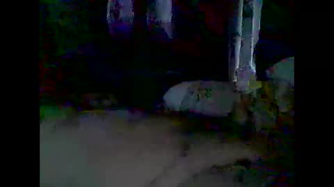 grittslappa online show from November 22, 1:16 am