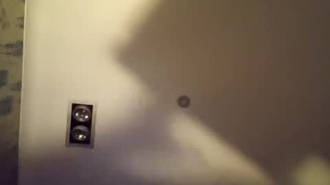 h_rd333 online show from December 15, 1:19 pm