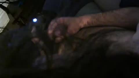 HairyArtNerd online show from February 10, 8:52 am