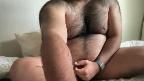 hairyaussie00 online show from December 4, 3:04 am